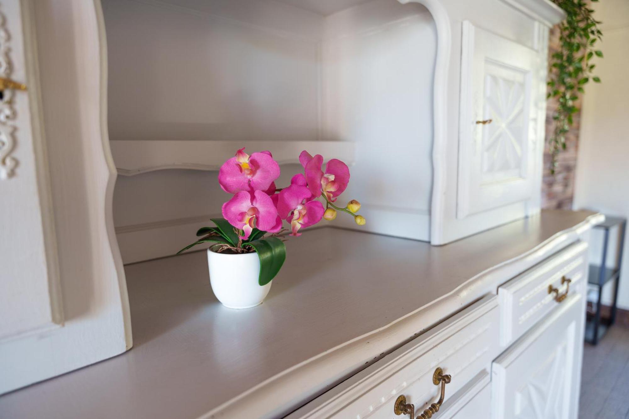 Gite Du Manoir Saint-Germain-des-Champs Екстериор снимка