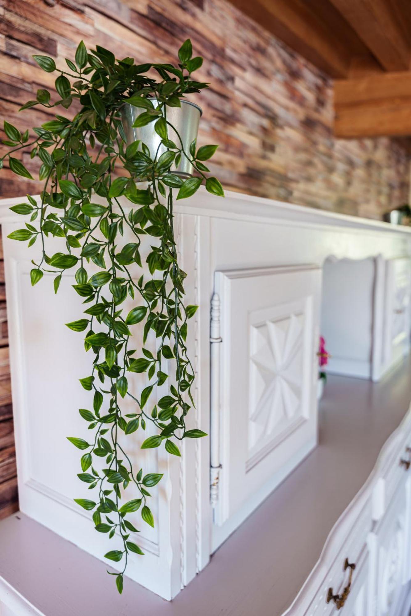 Gite Du Manoir Saint-Germain-des-Champs Екстериор снимка